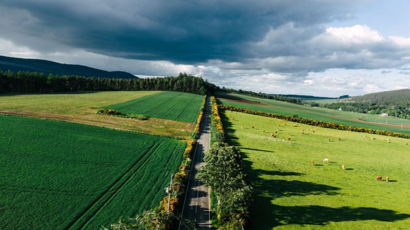 DJI_20250527190748_0123_D